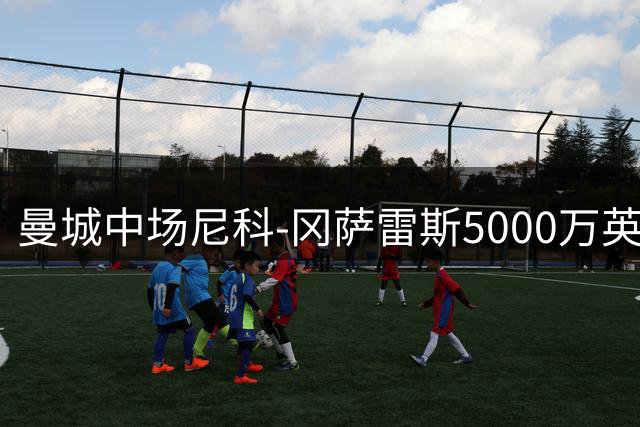 曼城中场尼科-冈萨雷斯5000万英镑转投纽卡斯尔