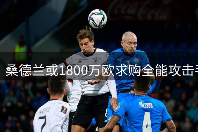 桑德兰或1800万欧求购全能攻击手维阿